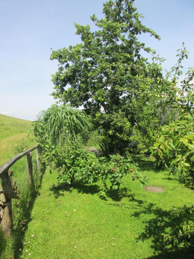 Pension Werner Nagel Wewelsfleth Exterior foto